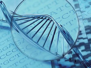 Molekuláris diagnosztika